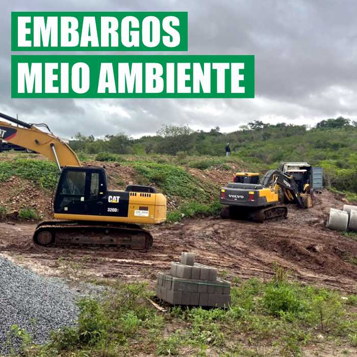Meio Ambiente