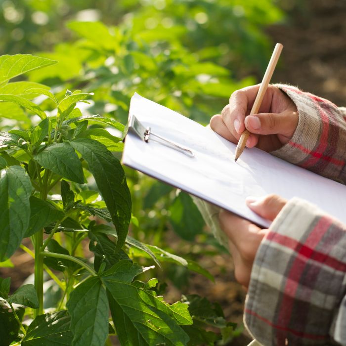 Agricultura
