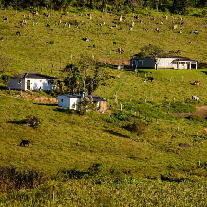 Área Rural