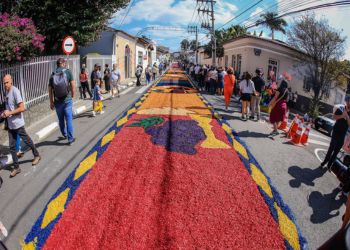 Desenhos diversos no tapete (uva x vinho)