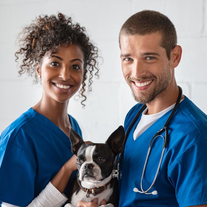 Pet Adoção - Formulário de Interesse