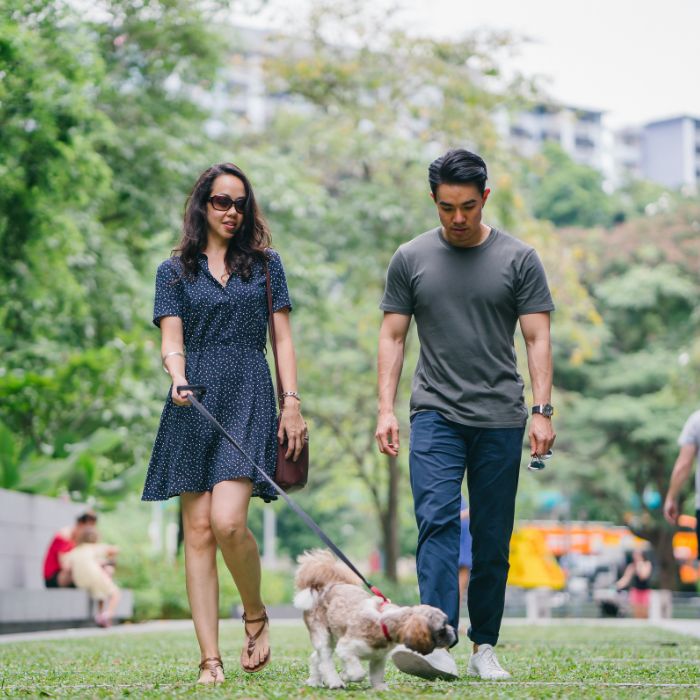 Criação de 10 Espaços Pets nos bairros (Parques)
