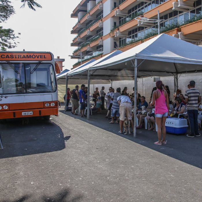 Ampliação de mutirões de castração