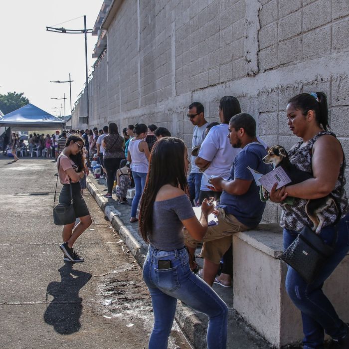 Ampliação de mutirões de castração