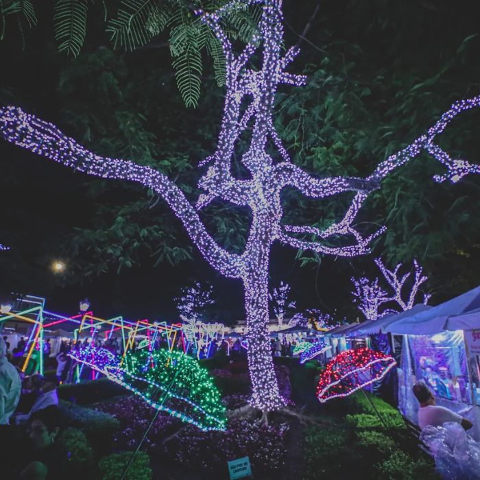 natal de luz