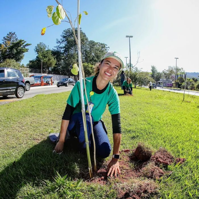 mulher plantando árvore