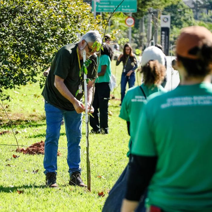 homem plantando árvore
