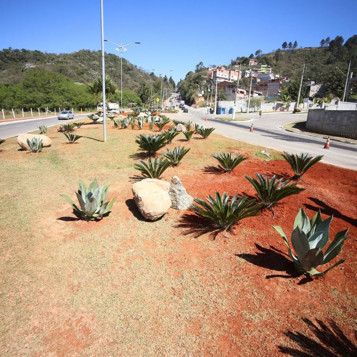 Paisagismo pela cidade