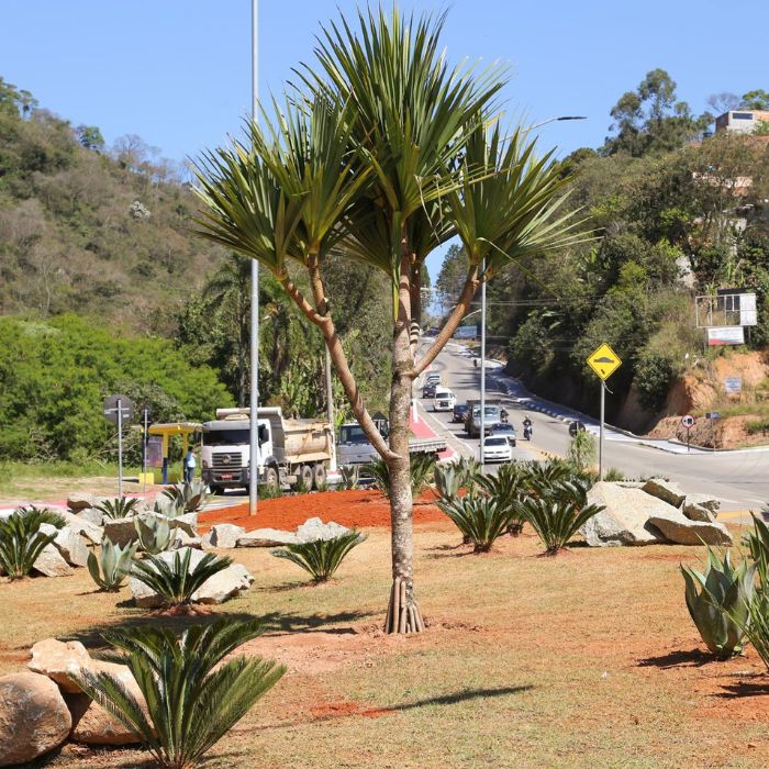 Paisagismo pela cidade
