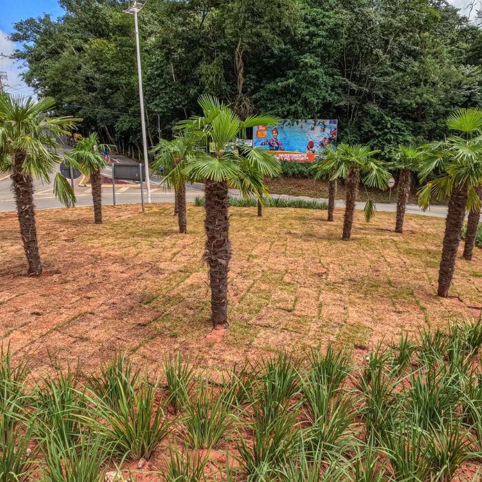 Revitalização Rotatórias